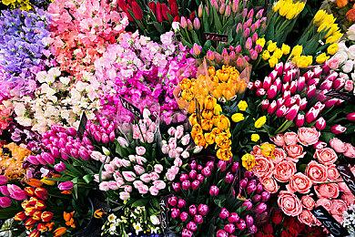 《奇迹时代4》面向PS5＆XS＆PC公布 5＆2推出